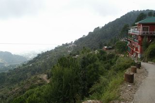 Resize of DSC_0141.JPG